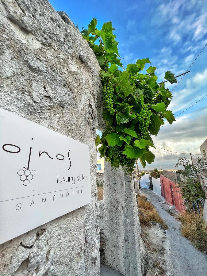 Oinos Luxury Suites Foinikiá Extérieur photo